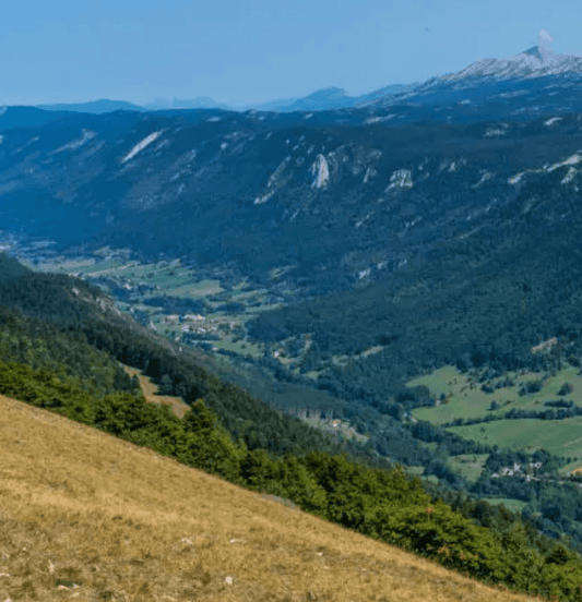 Lâattaque de Vassieux-en Vercors reste un acte que lâon ne peut dĂ©crire
