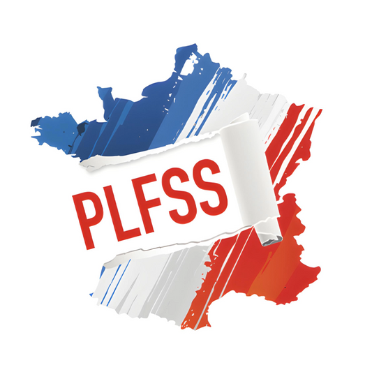 Mais au fond, câest quoi un PLFSS ?