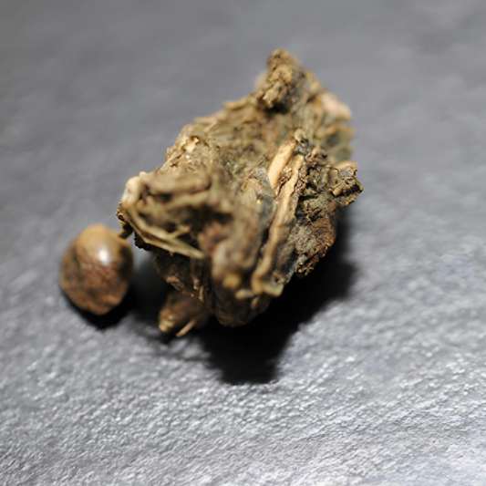 Le cannabis médical : un remÚde longtemps entravé, enfin encadré en France