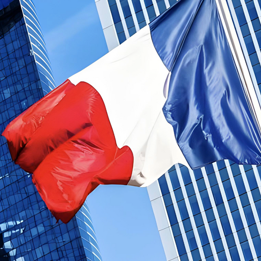 Comment les actionnaires redessinent les logiques dâentreprise