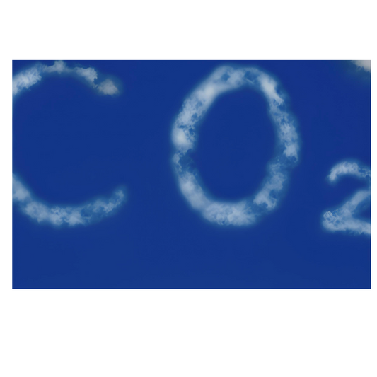 COâ, textile, mĂ©thane et algues : dans les coulisses du dĂ©fi français pour 2050