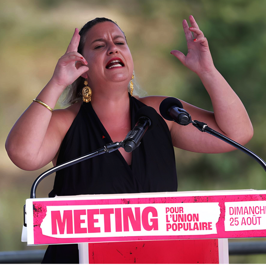 Grùce à l'article 23 de la constitution, Mathilde Panot souhaite sanctionner les ministres démissionnaires redevenus députés
