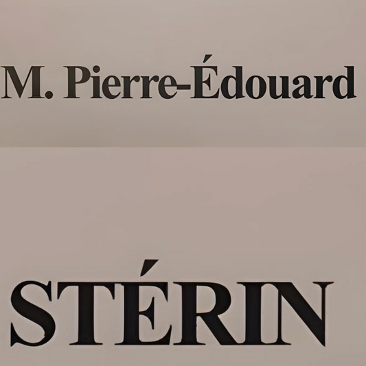 Pierre-Edouard StĂ©rin : le banquier de lâultradroite a la carte bleue refroidie