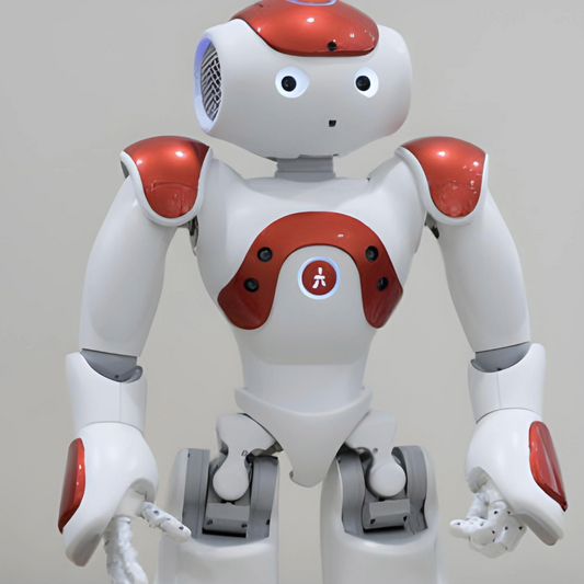 Nao, un robot pour briser lâisolement des enfants autistes