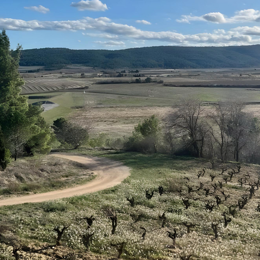 Dans l'Aude, les acteurs économiques transforment leur sols asséchés en richesse