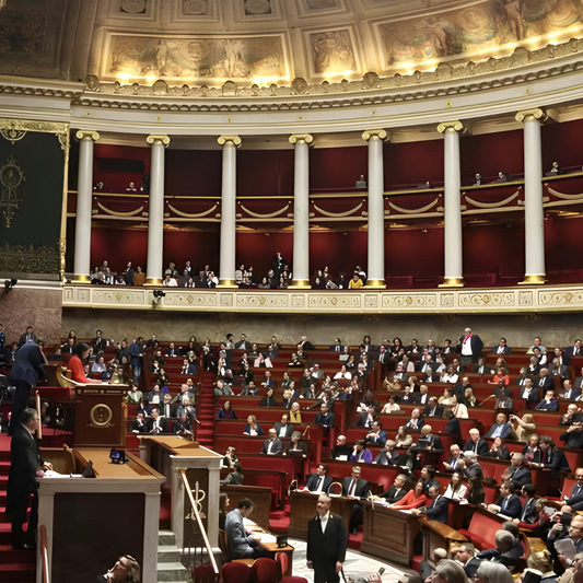 Propositions sous influence : comment les PPL redessinent en douce le paysage législatif