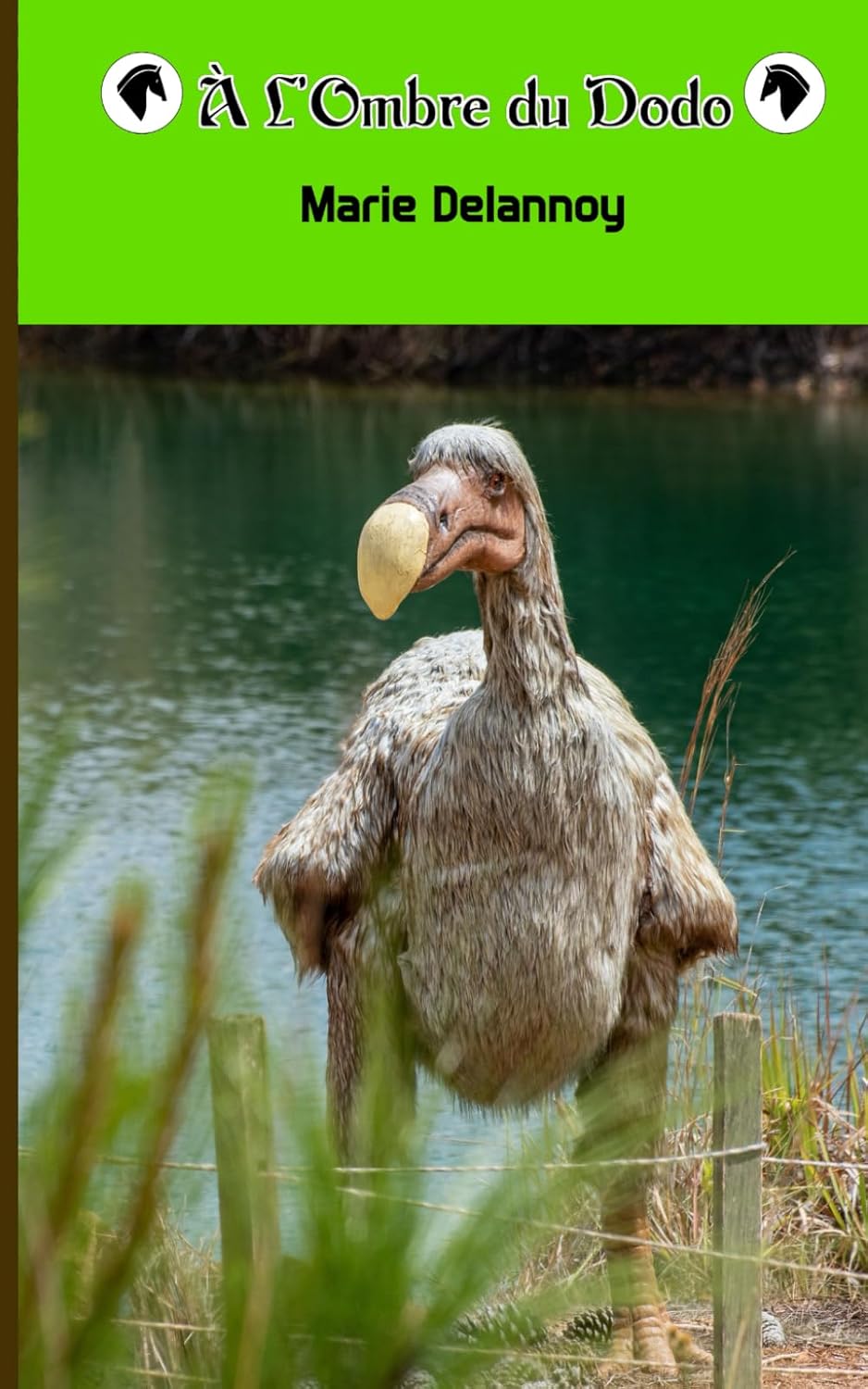 A l'Ombre du Dodo