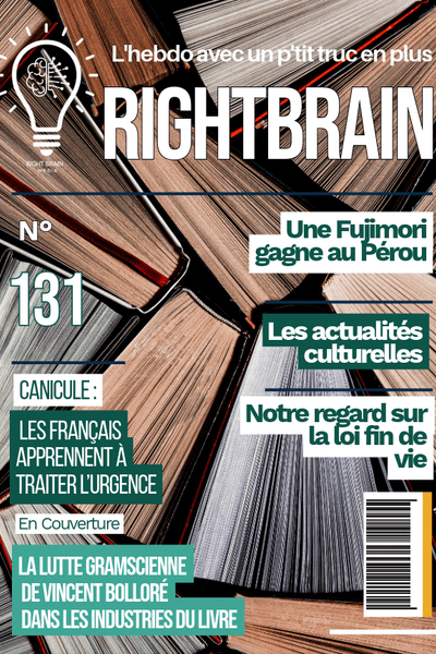 La lutte gramscienne de Vincent Bolloré dans les industries du livre - Rightbrain Magazine store
