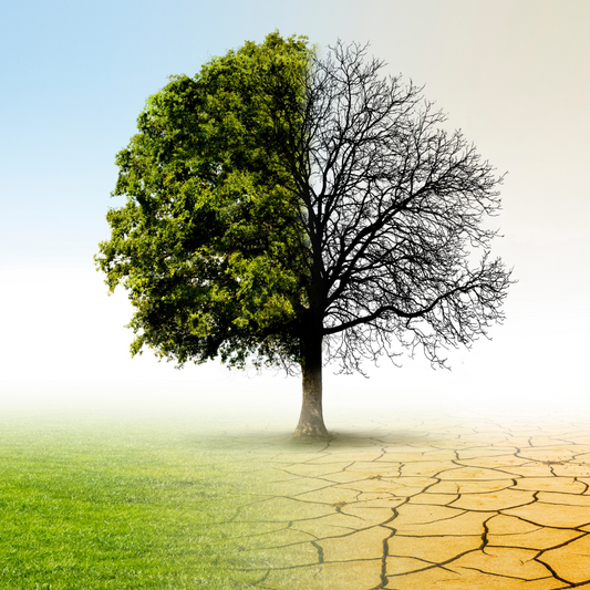 Le fonds vert en péril : quand la France sabote sa propre transition écologique