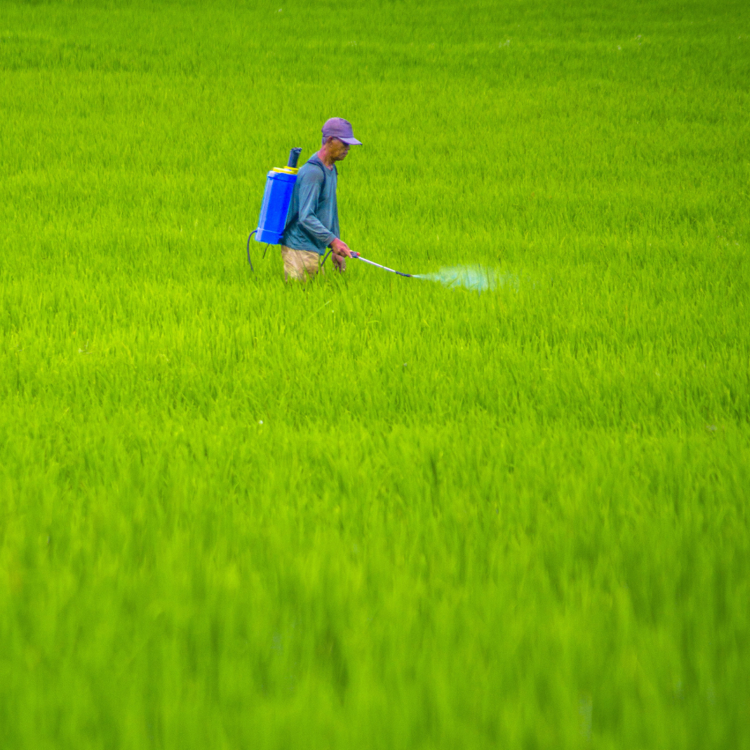 Pesticides : des milliers de manifestants contre Syngenta
