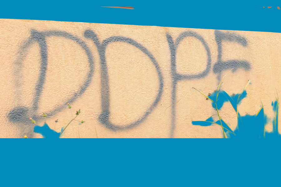 La DZ Mafia : un gang exportant son ombre criminelle partout en France