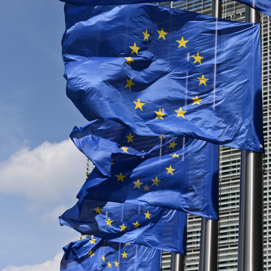 La BCE en équilibre : entre inflation et croissance, le dilemme européen
