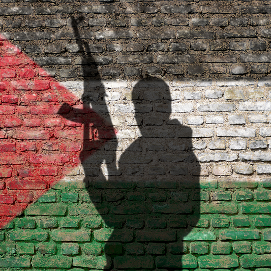 Gaza sous l’emprise du Hamas : plusieurs rapports onusiens reviennent sur la violence systématique du mouvement