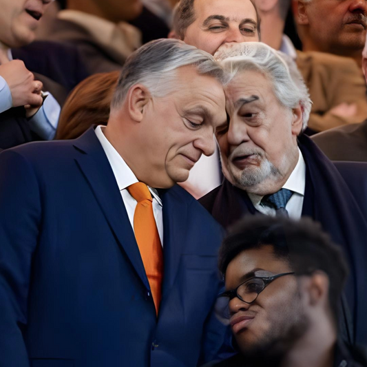 Hongrie : Viktor Orbán et la traque des « ennemis de la nation »