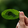 Énergie : la guerre au Moyen-Orient accélère le plan français d'électrification de l'économie