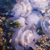 Pollution plastique : la Chine, acteur majeur d’une crise mondiale