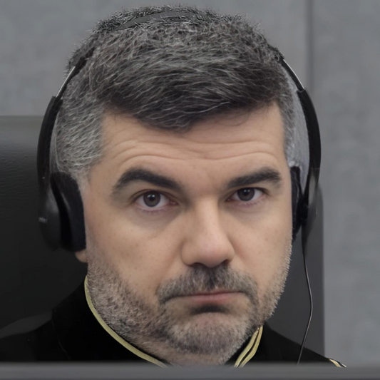 Nicolas Guillou : l'arbre cachant l'immense forêt des nouvelles technologies de l'information et de la communication