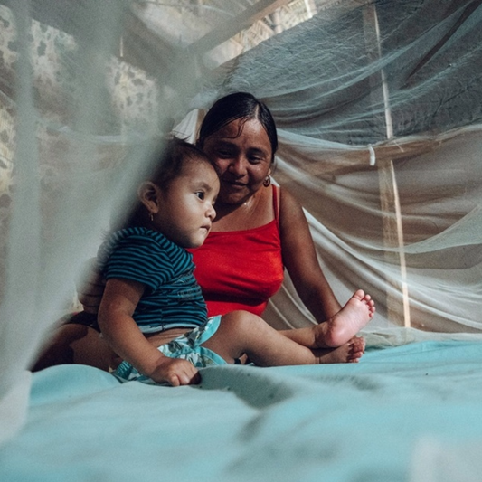 Paludisme : la communauté scientifique lutte toujours contre la maladie