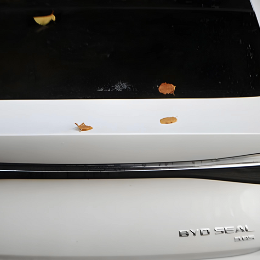 Climat : la transition écologique aide Pékin à étendre son empire industriel