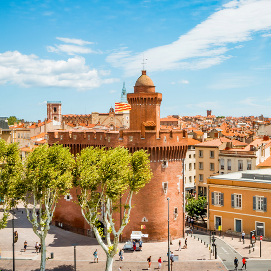 Les municipalités RN : des vitrines de ce qu’incarnerait le parti s’il gagnait la présidentielle