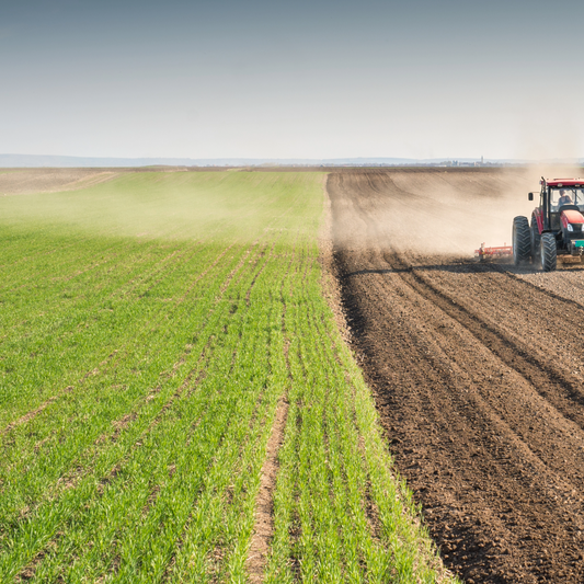 La sécurité sociale de l’alimentation : un outil pour lutter dans un environnement « obésogène »