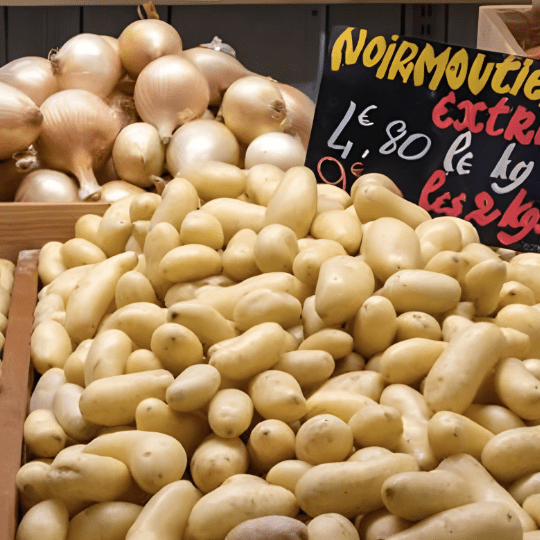 À Noirmoutier, les agriculteurs utilisent les eaux usées pour répondre au défi climatique - Rightbrain Magazine store 