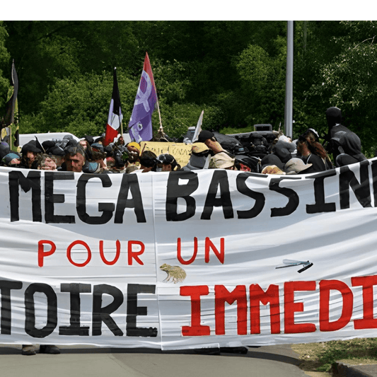 À Sainte-Soline, des gendarmes donnent une image violente de leur institution. - Rightbrain Magazine store 