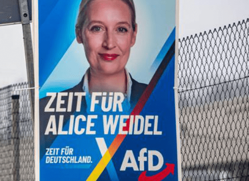 Allemagne : l’AfD marche sur les traces invisibles de l'extrême-droite germanique - Rightbrain Magazine store 
