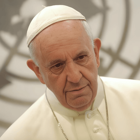 Avec l’encyclique Laudato, François a affirmé sa fibre sociale et écologique - Rightbrain Magazine store 
