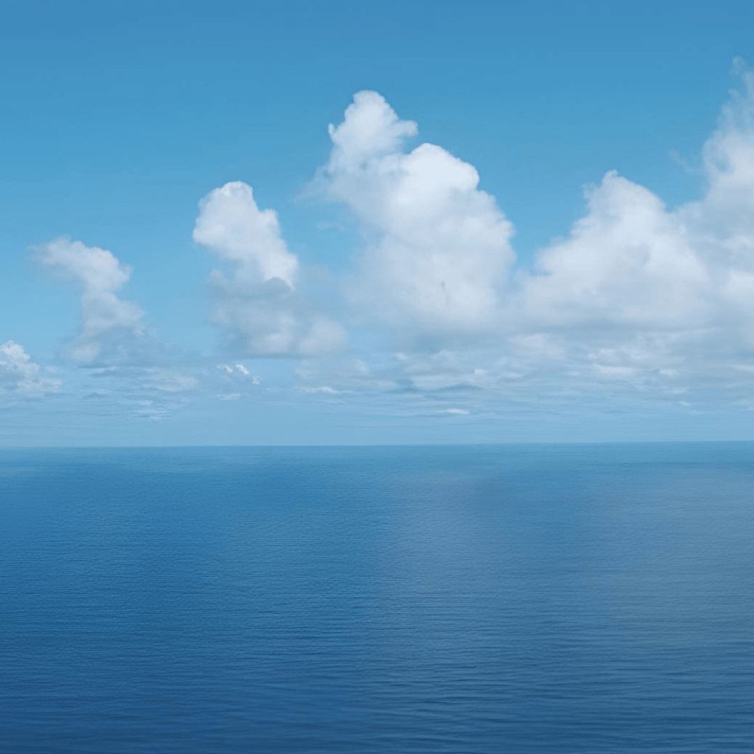 Climat : la biodiversité mise à mal par le réchauffement de nos écosystèmes - Rightbrain Magazine store 