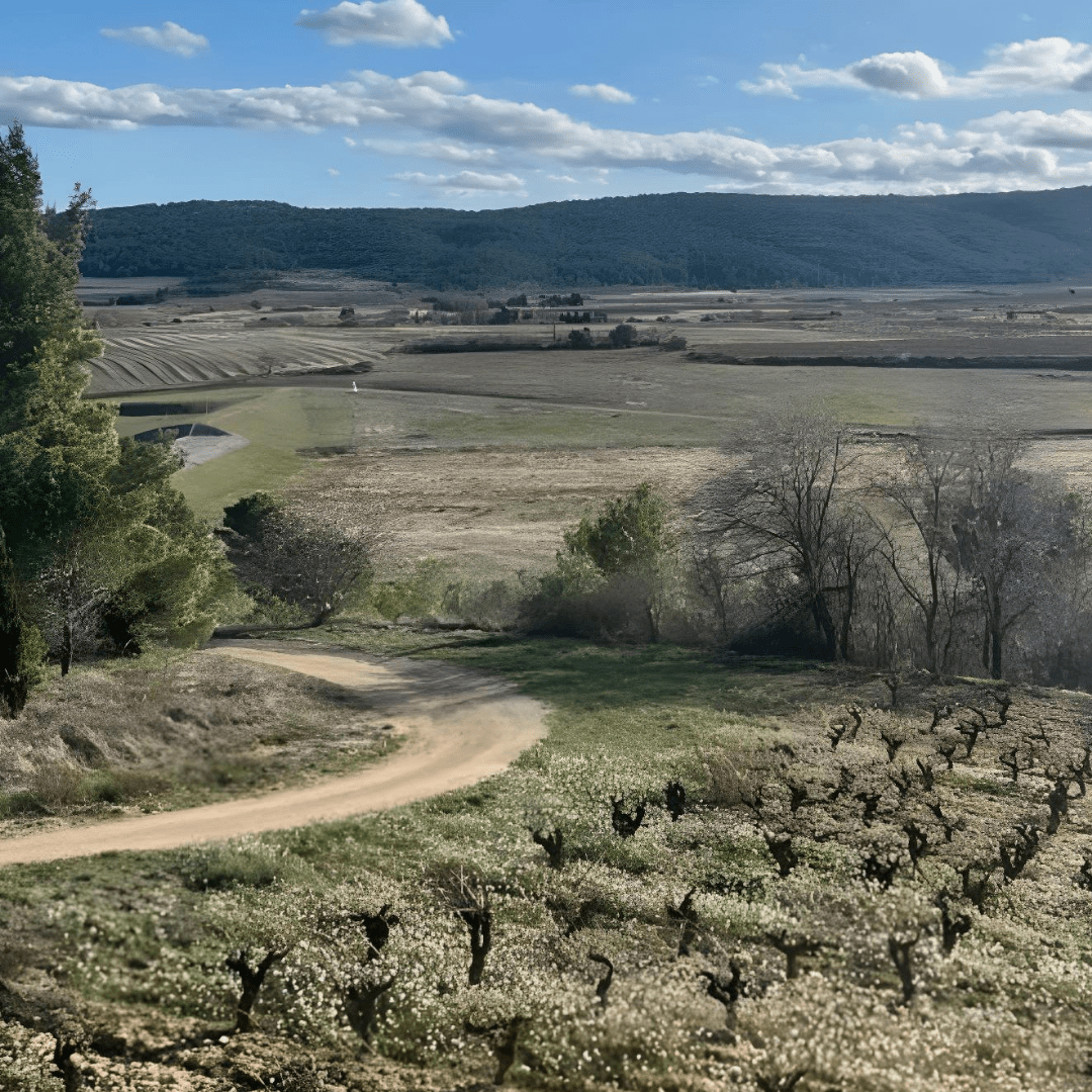 Dans l'Aude, les acteurs économiques transforment leur sols asséchés en richesse - Rightbrain Magazine store 