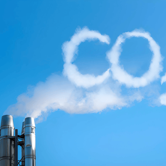 Doit-on nationaliser les entreprises réutilisant du CO2à des fins commerciales? - Rightbrain Magazine store 