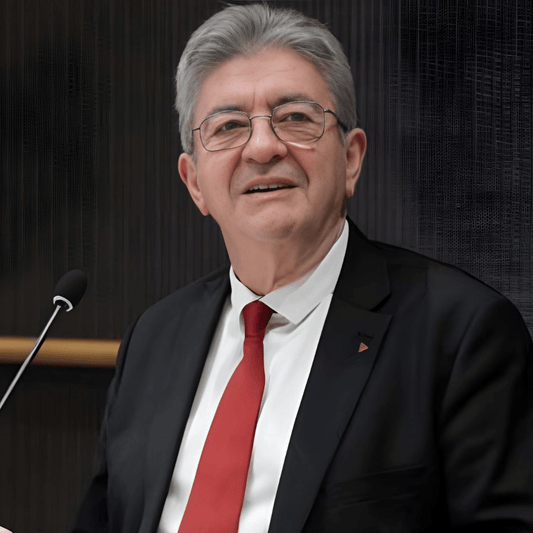 Entrisme : une commission d’enquête montre l’inexistence des liens entre LFI et les mouvances islamistes - Rightbrain Magazine store 