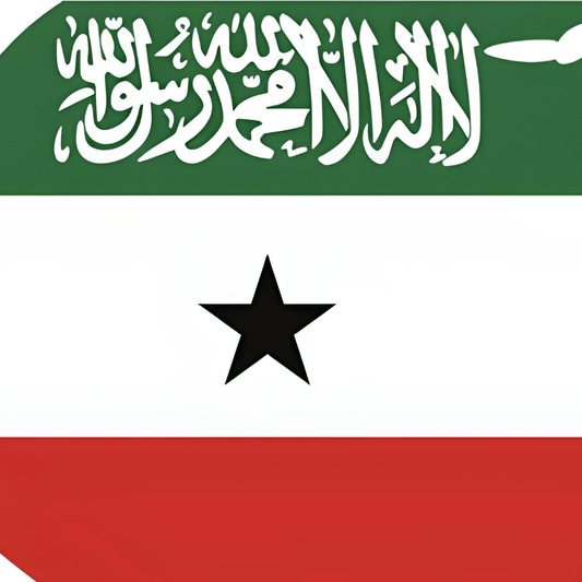 Face la crise somalienne, Les Etats-Unis doivent oublier certains traumatismes - Rightbrain Magazine store 