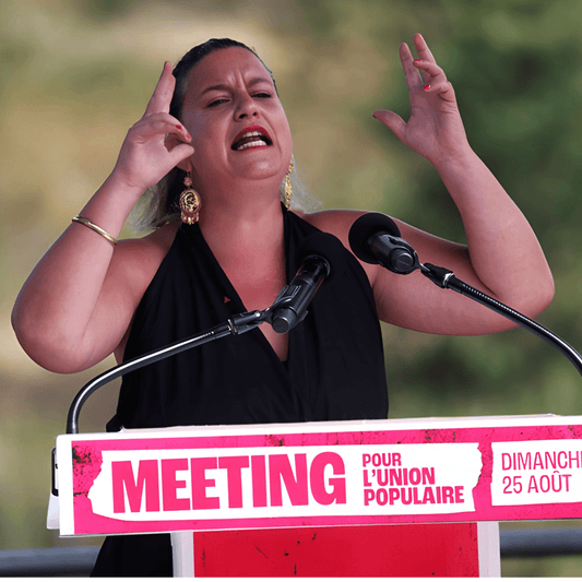 Grâce à l'article 23 de la constitution, Mathilde Panot souhaite sanctionner les ministres démissionnaires redevenus députés - Rightbrain Magazine store 