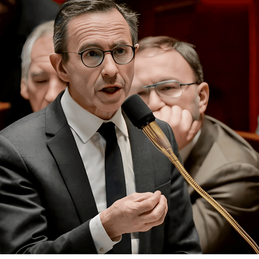 Immigration : la France est-elle vraiment en état de submersion migratoire ? - Rightbrain Magazine store 