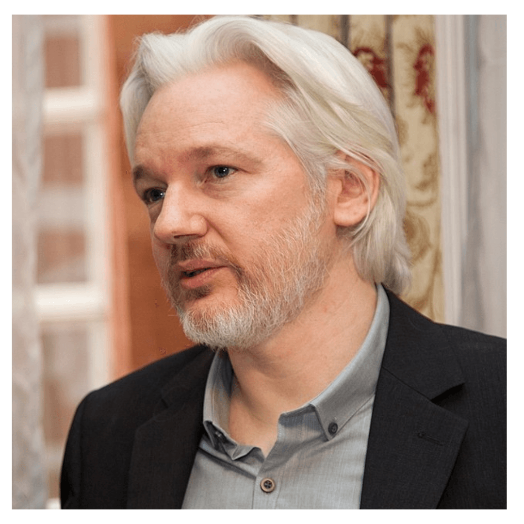 Julian Assange : une décennie de luttes - Rightbrain Magazine store 