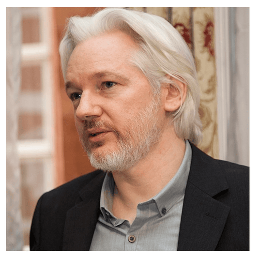 Julian Assange : une décennie de luttes - Rightbrain Magazine store 
