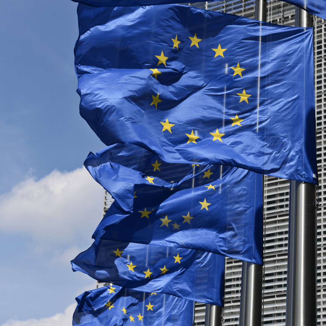 La BCE en équilibre : entre inflation et croissance, le dilemme européen - Rightbrain Magazine store
