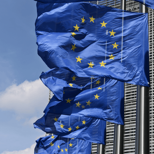 La BCE en équilibre : entre inflation et croissance, le dilemme européen - Rightbrain Magazine store