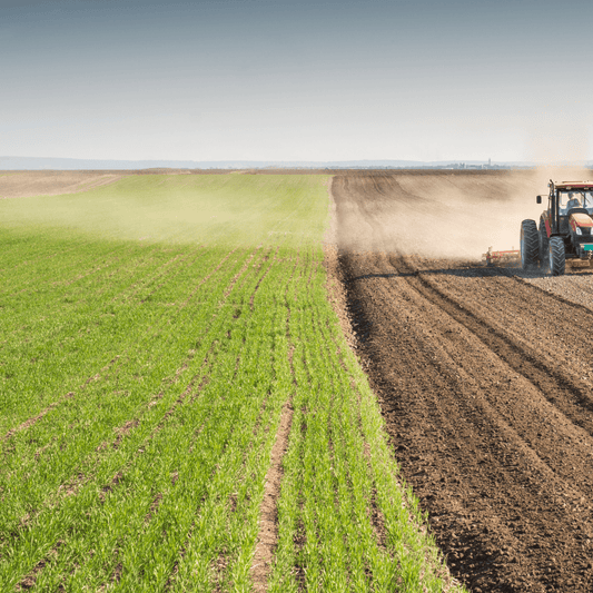La sécurité sociale de l’alimentation : un outil pour lutter dans un environnement « obésogène » - Rightbrain Magazine store 