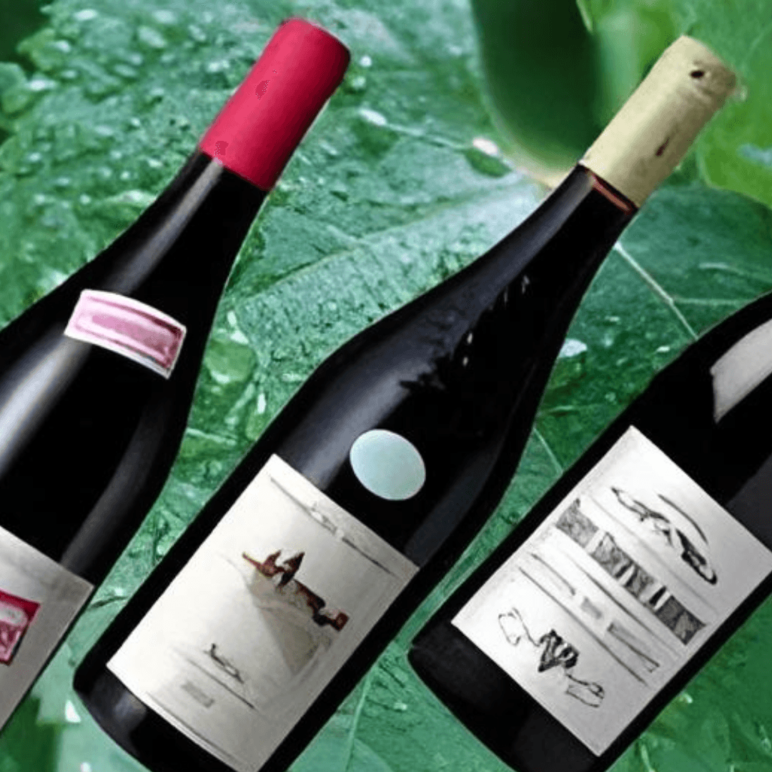 La Transition Écologique du Vin : Vers une Viticulture Durable - Rightbrain Magazine store 