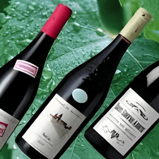 La Transition Écologique du Vin : Vers une Viticulture Durable - Rightbrain Magazine store 