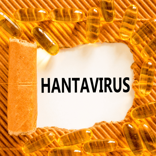 Le hantavirus Andes, une menace insoupçonnée : quand un virus de rongeur défie les lois de la transmission - Rightbrain Magazine store