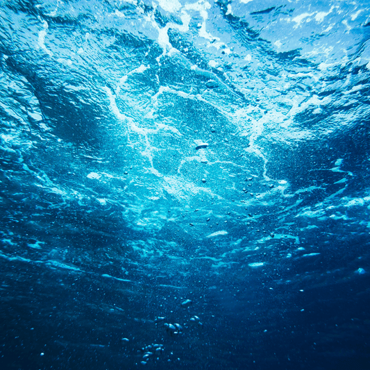 Le projet de loi agricole démantèle trente ans de démocratie locale dans la gestion de l'eau - Rightbrain Magazine store 
