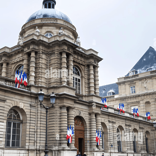 Le Sénat: la chambre où devront être traitées les premières grandes crises politiques qu'affrontera Michel Barnier - Rightbrain Magazine store 