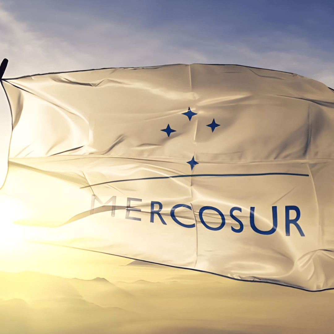 Le traité Mercosur : un cauchemar pour les campagnes françaises - Rightbrain Magazine store 