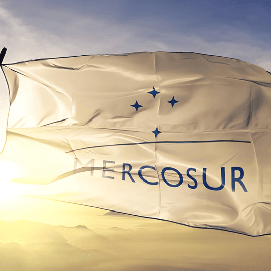 Le traité Mercosur : un cauchemar pour les campagnes françaises - Rightbrain Magazine store 