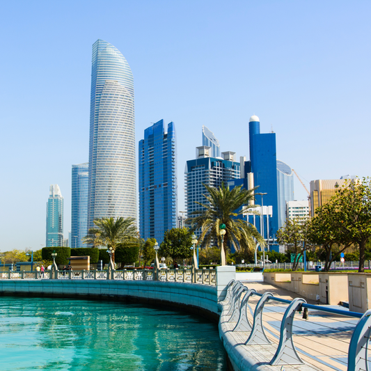 Les Émirats arabes unis : des architectes discrets d’un Moyen-Orient où les Frères musulmans sont affaiblis - Rightbrain Magazine store
