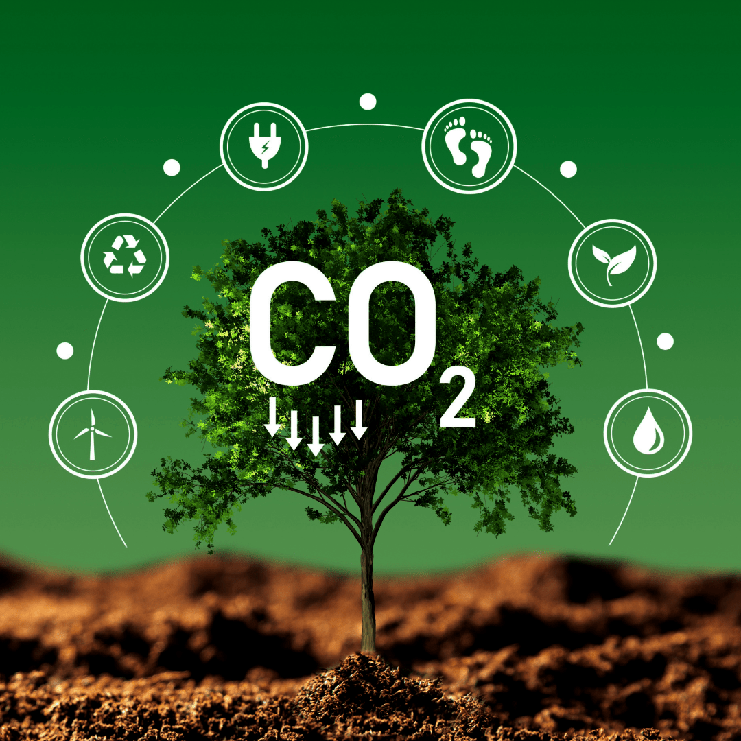 Les émissions massives de CO₂ à Montalieu révèlent les impasses de l'écologie industrielle - Rightbrain Magazine store 
